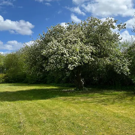 Idyllic Countryside Close To Baltic Sea 尼卡宾·法尔斯特