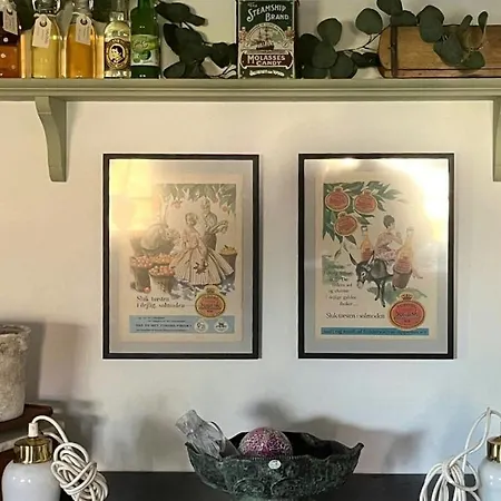 Idyllic Countryside Close To Baltic Sea 尼卡宾·法尔斯特