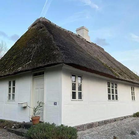 Idyllic Countryside Close To Baltic Sea * 尼卡宾·法尔斯特